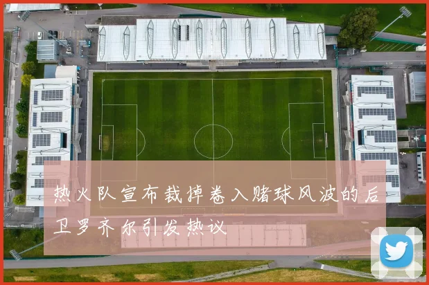 热火队宣布裁掉卷入赌球风波的后卫罗齐尔引发热议