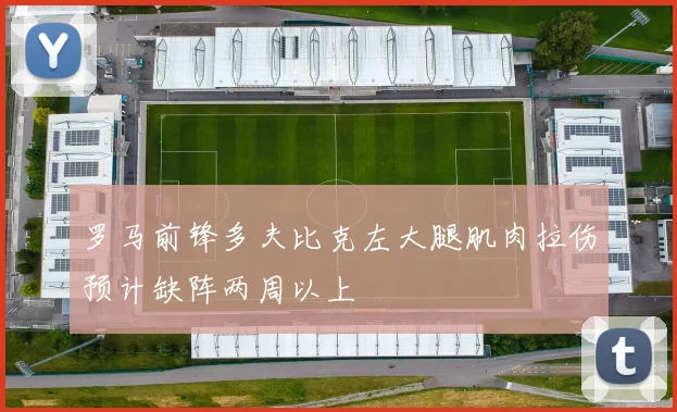 罗马前锋多夫比克左大腿肌肉拉伤预计缺阵两周以上