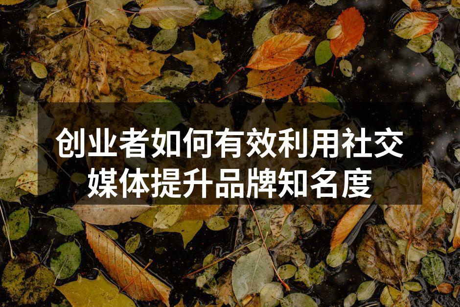 创业者如何有效利用社交媒体提升品牌知名度