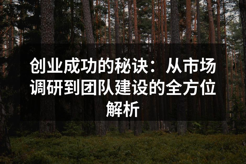 创业成功的秘诀：从市场调研到团队建设的全方位解析