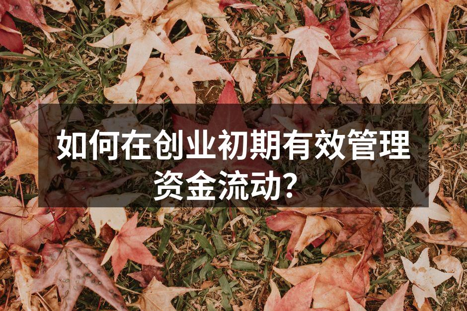如何在创业初期有效管理资金流动？