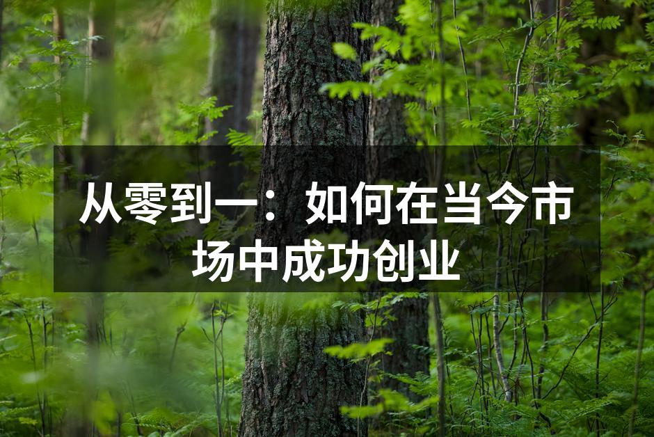 从零到一：如何在当今市场中成功创业